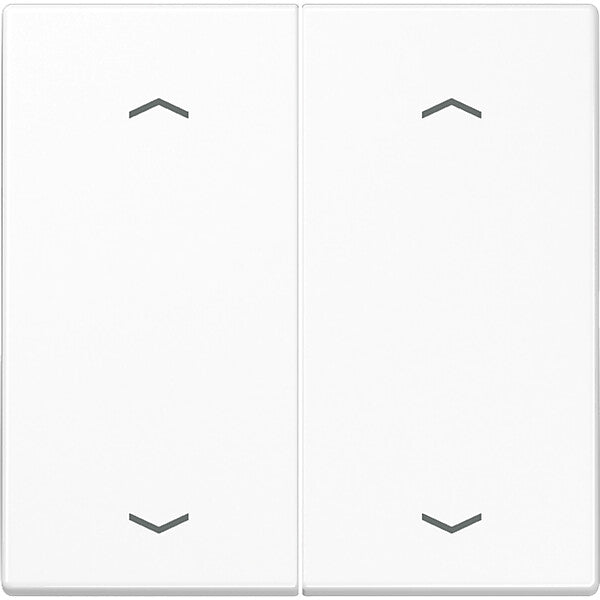JUNG Wippe Symbole aws für Taster 2-fach LS 995 MP WW